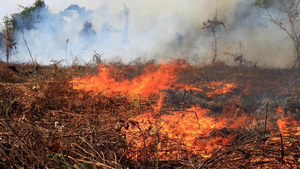 Edukasi Warga tentang Bahaya Pembakaran Lahan Liar