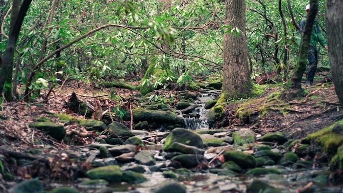 Konservasi Hutan Lindung Menjadi Fokus di Tengah Cuaca Kering