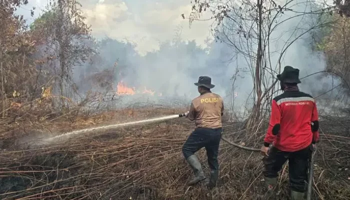 Program Penghijauan Dipercepat di Daerah Rentan Karhutla